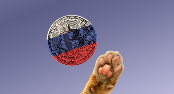 Закон и порядок или административные барьеры: правовой статус криптовалюты в России