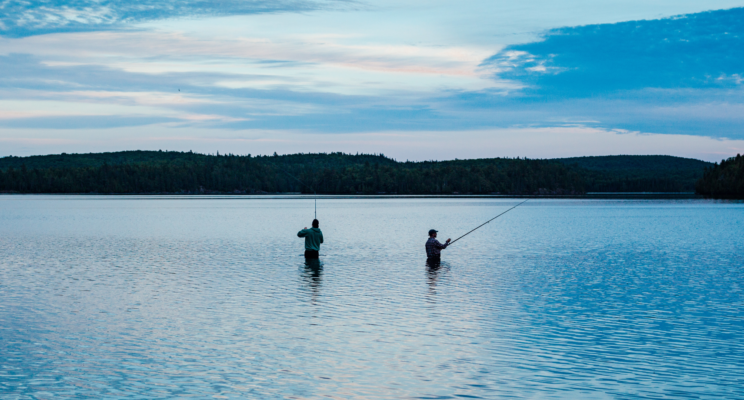 Как рыбачить и не попасть на штрафы. Правила любительской рыбалки — 2023