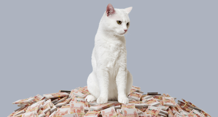 изображение 626