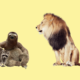 Ленивец, енот, страус или лев: кто вы на работе? Тест