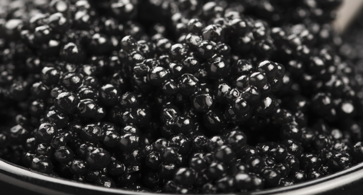 изображение 1000