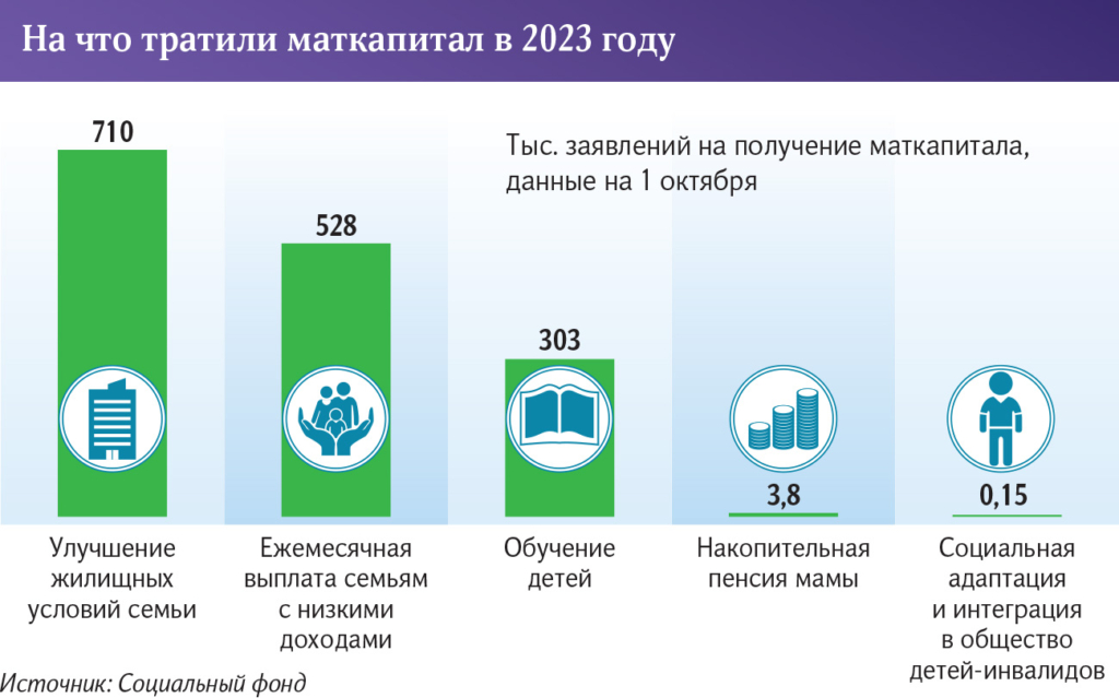 В Госдуме ищут способ сэкономить на материнском капитале - изображение 554