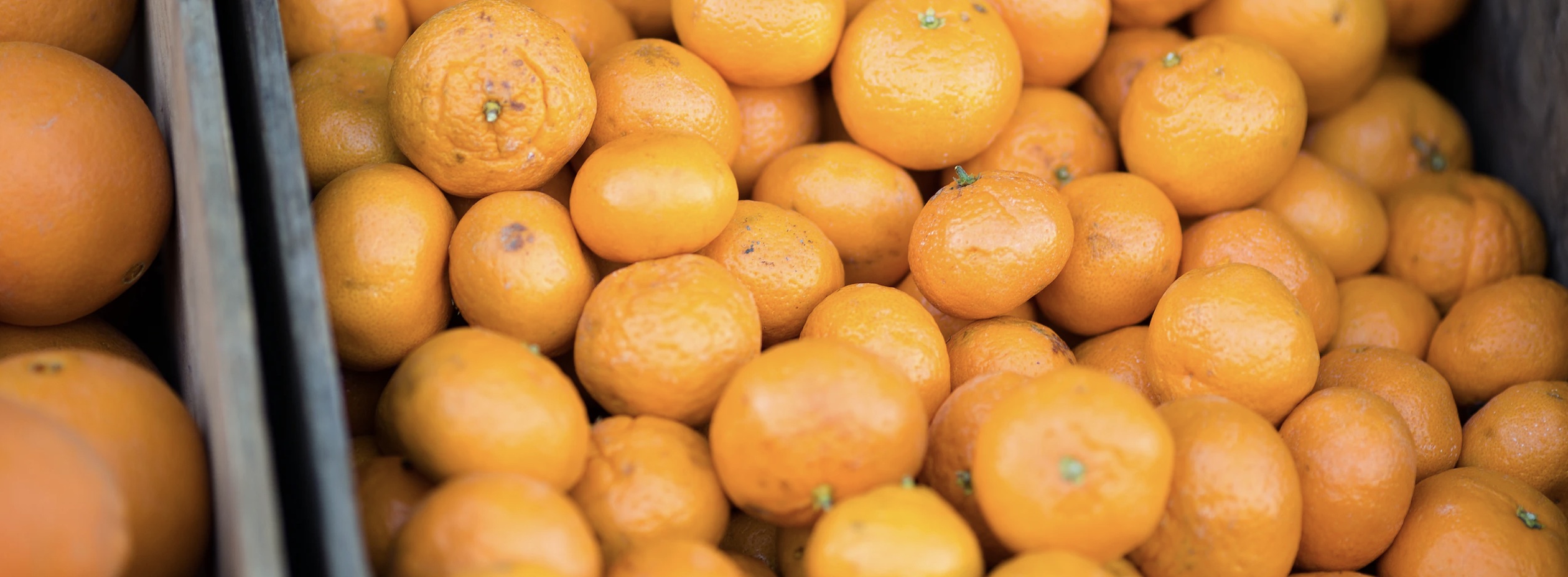 Дефицит мандаринов: вот как изменятся цены на фрукты к Новому году