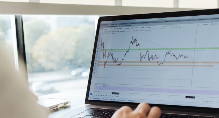 изображение 595