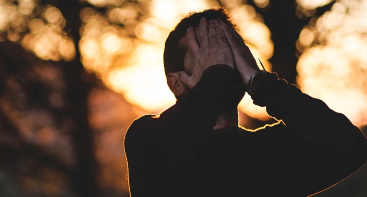 изображение 292