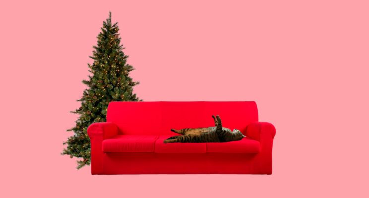 Влияние одиночества на финансы и как праздновать Новый год одному