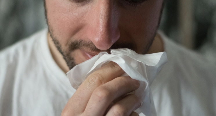 изображение 575