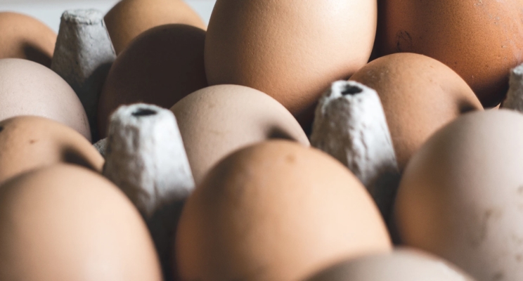 изображение 497