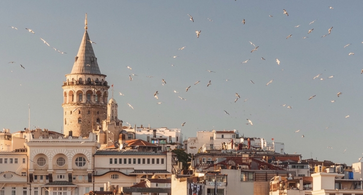 изображение 386