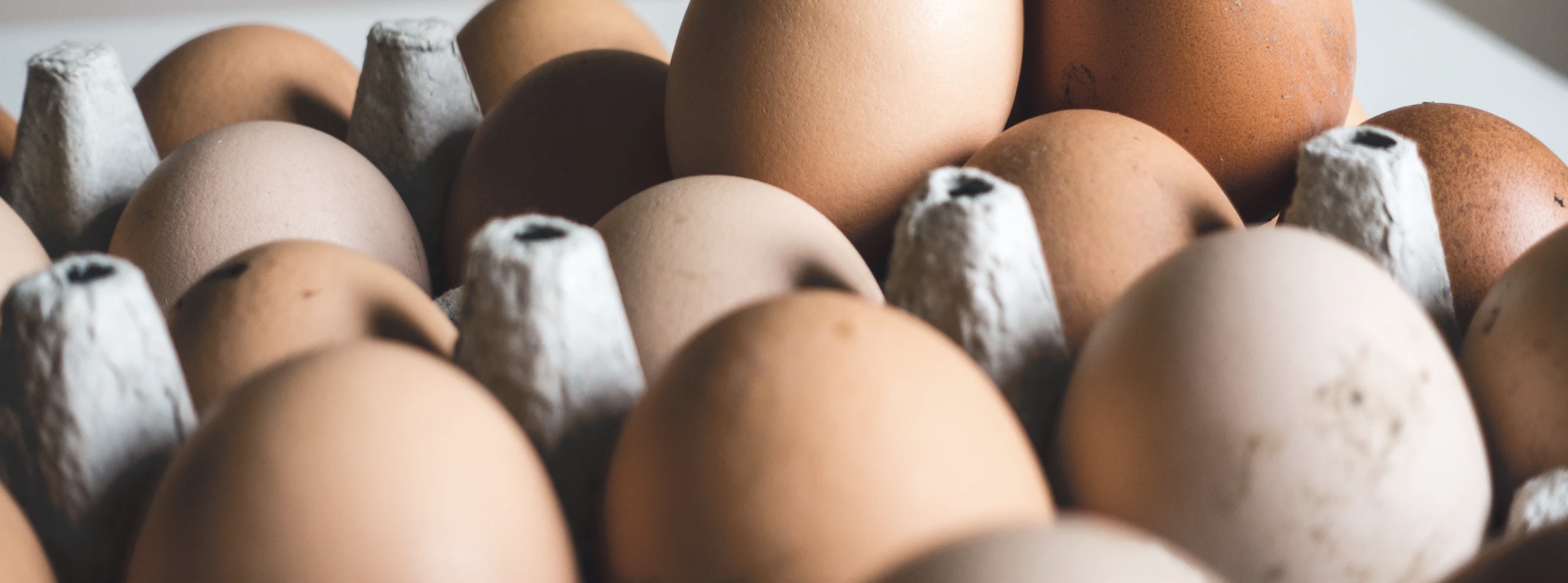 Снизить цены на яйца требует от супермаркетов ФАС: что будет с курятиной
