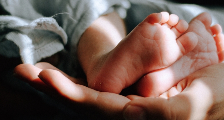 изображение 679