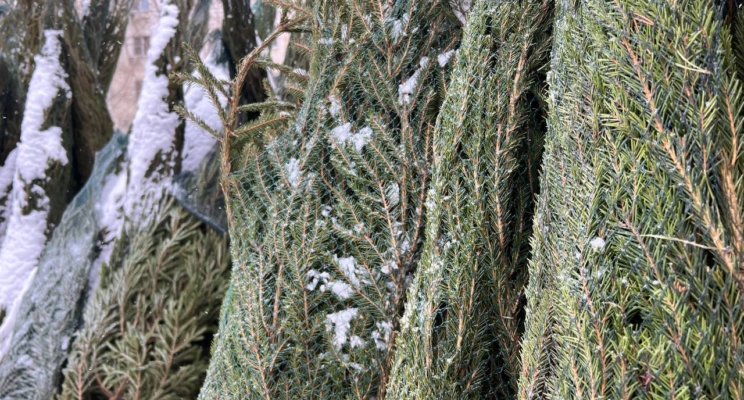 изображение 773