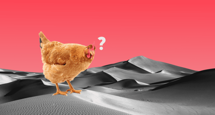 изображение 420