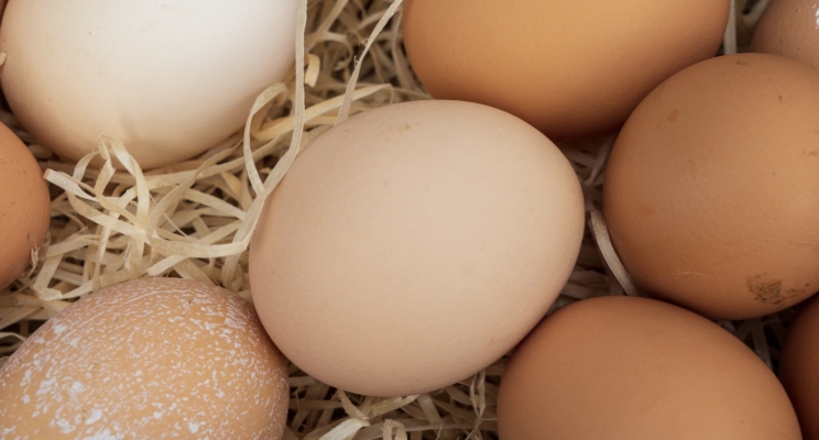 изображение 465