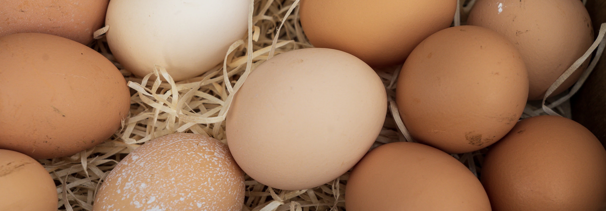 Птицефабрики назвали справедливую стоимость яиц
