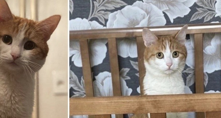 изображение 892