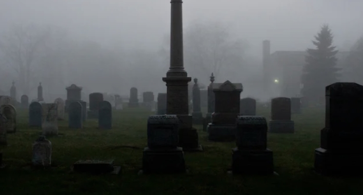 изображение 806