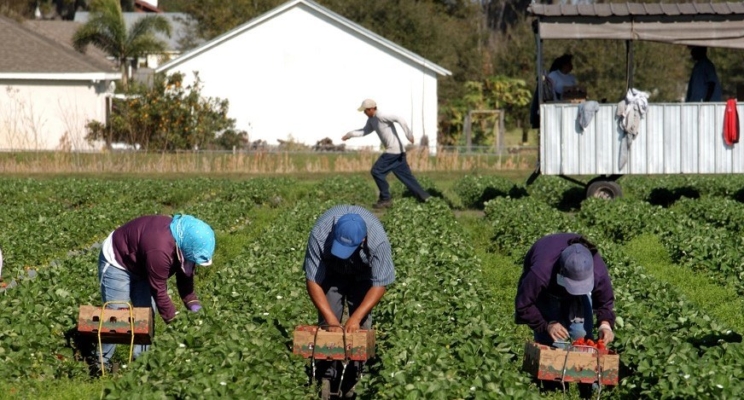 изображение 77