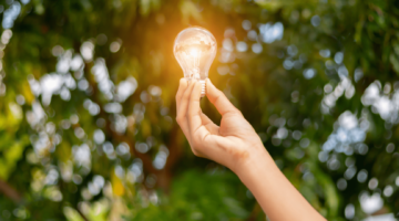Раз, два, три — лампочка, замри: несколько советов по экономии электроэнергии