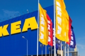Бани на месте IKEA: новый владелец не может найти применение пустующим площадям