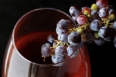В Россию из Беларуси начали возить поддельное европейское вино