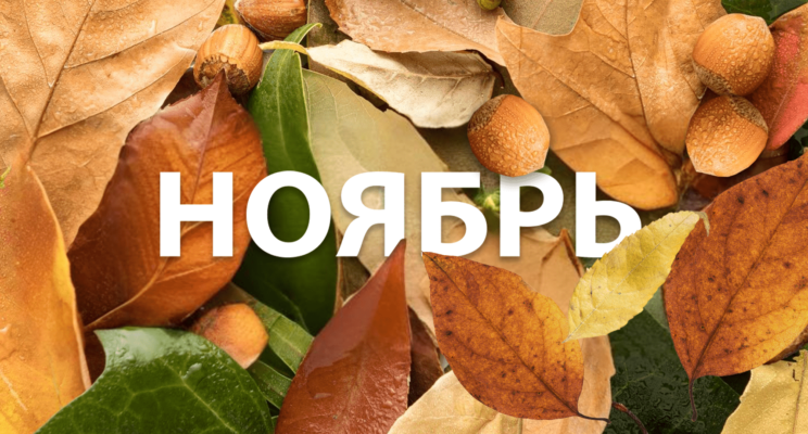 Лимиты денежных переводов, запрет майнинга и деанон в соцсетях: как изменится жизнь россиян с ноября