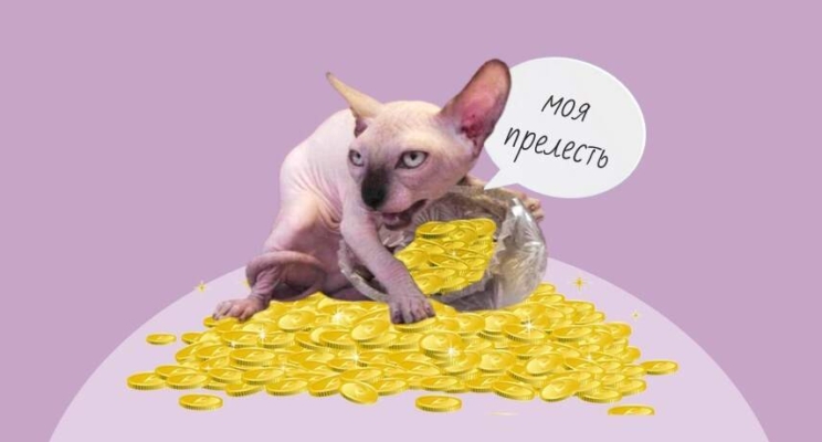 изображение 827