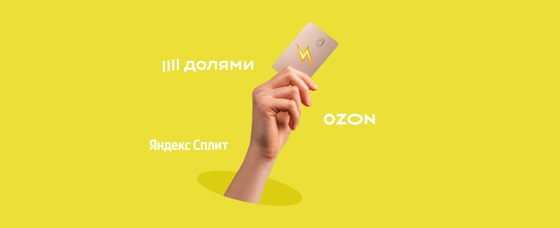 Россиянам ограничат покупку в сервисах рассрочки уже с 2026 года
