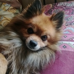 Ольга Чернякова